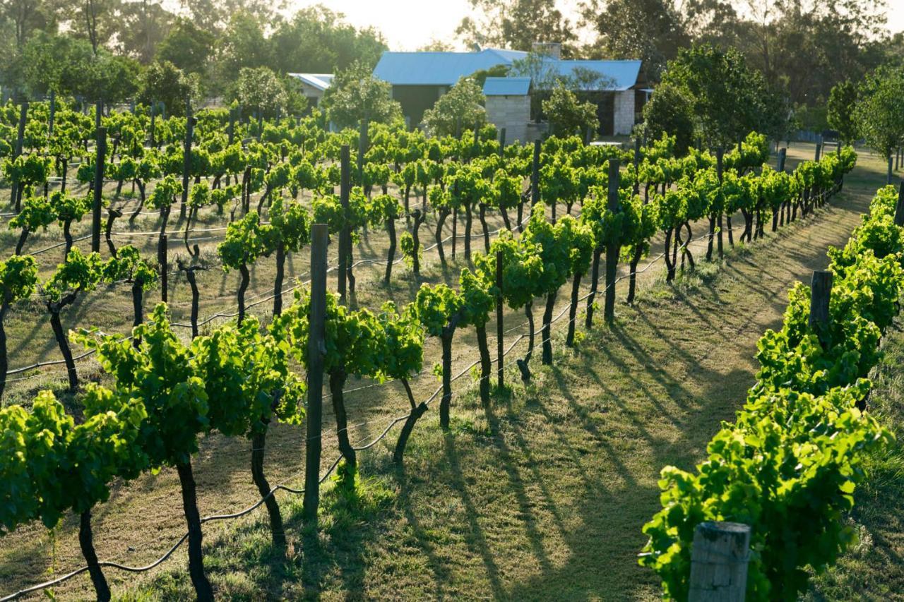 Thistle Hill Guesthouse - Walk To Many Wineries And Restaurants Pokolbin Extérieur photo