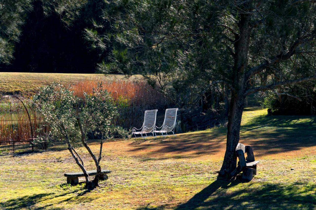 Thistle Hill Guesthouse - Walk To Many Wineries And Restaurants Pokolbin Extérieur photo