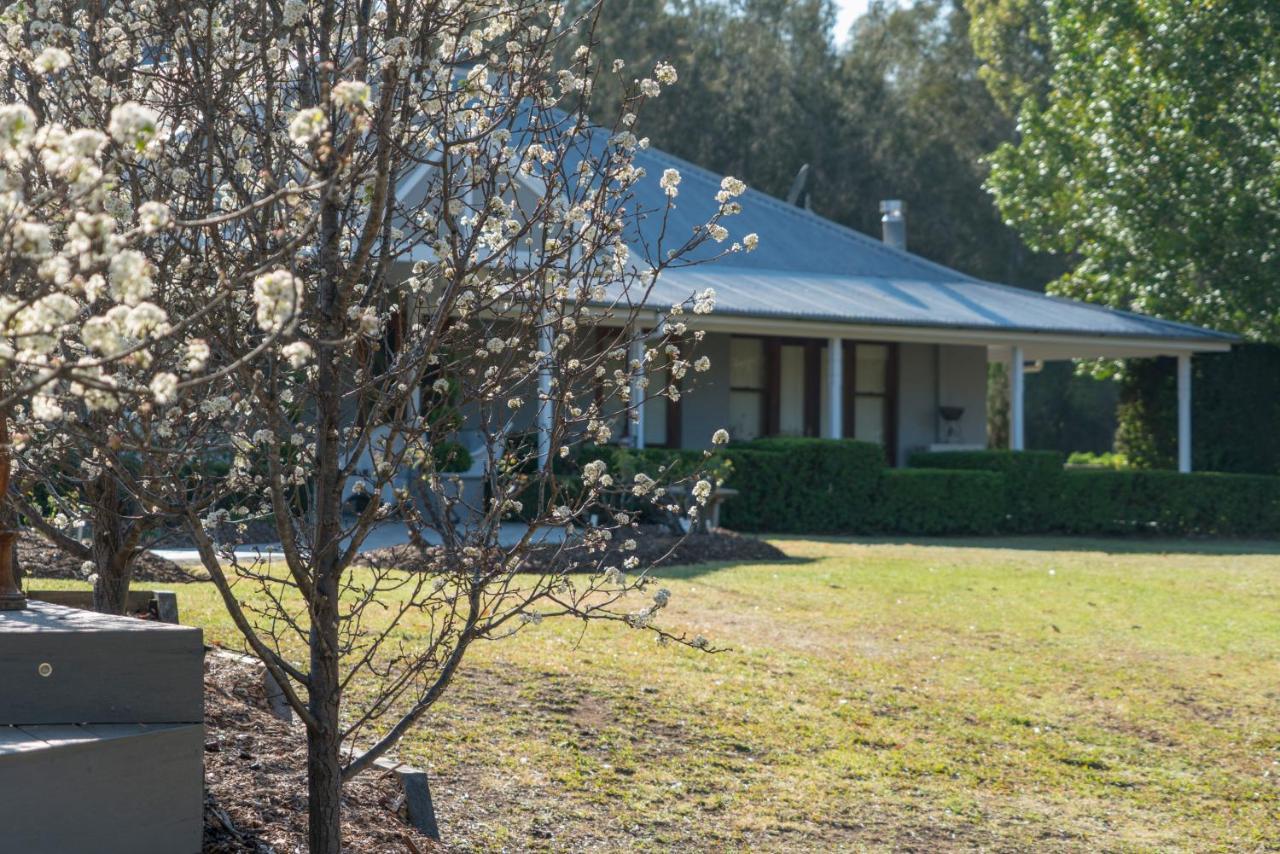 Thistle Hill Guesthouse - Walk To Many Wineries And Restaurants Pokolbin Extérieur photo