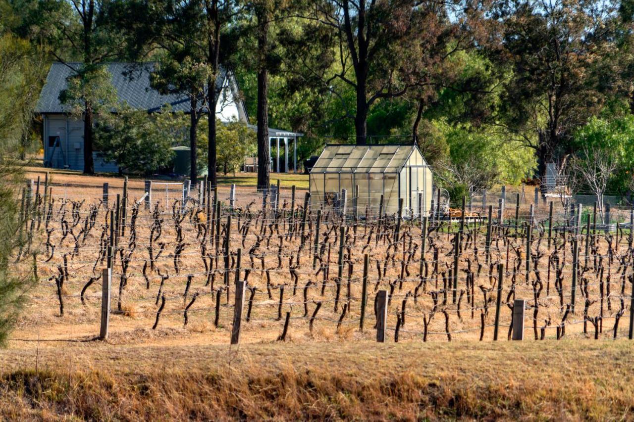 Thistle Hill Guesthouse - Walk To Many Wineries And Restaurants Pokolbin Extérieur photo