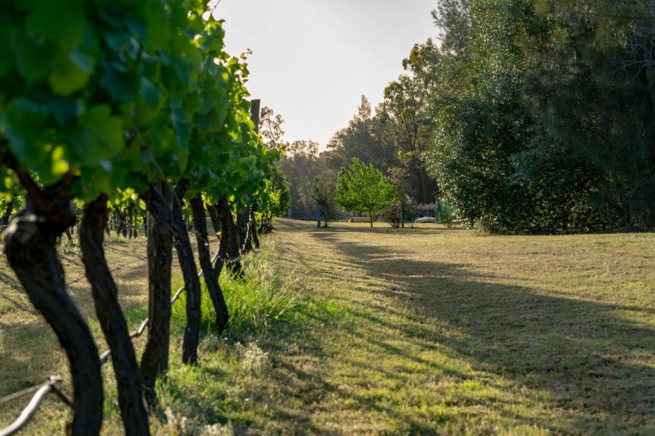 Thistle Hill Guesthouse - Walk To Many Wineries And Restaurants Pokolbin Extérieur photo