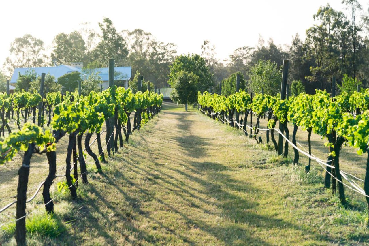 Thistle Hill Guesthouse - Walk To Many Wineries And Restaurants Pokolbin Extérieur photo